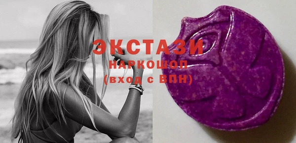 мдпв Ельня