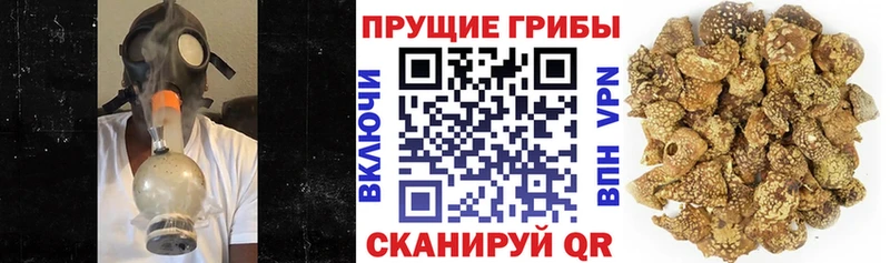 Псилоцибиновые грибы Magic Shrooms Лебедянь
