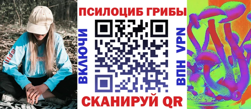 Галлюциногенные грибы Psilocybe  купить наркотик  Лебедянь 